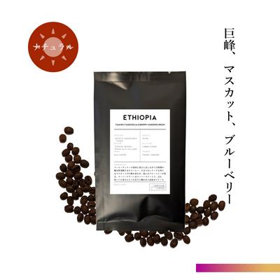店舗1周年記念　コーヒー豆袋　エチオピア タミルタデッセ100g×3種
